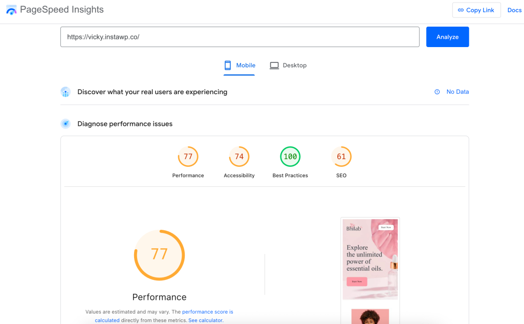 WordPress theme performance test speed by Google Pagespeed